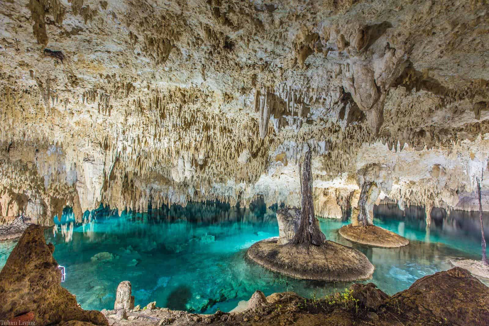 best cenotes in tulum Cenote Sac Actun