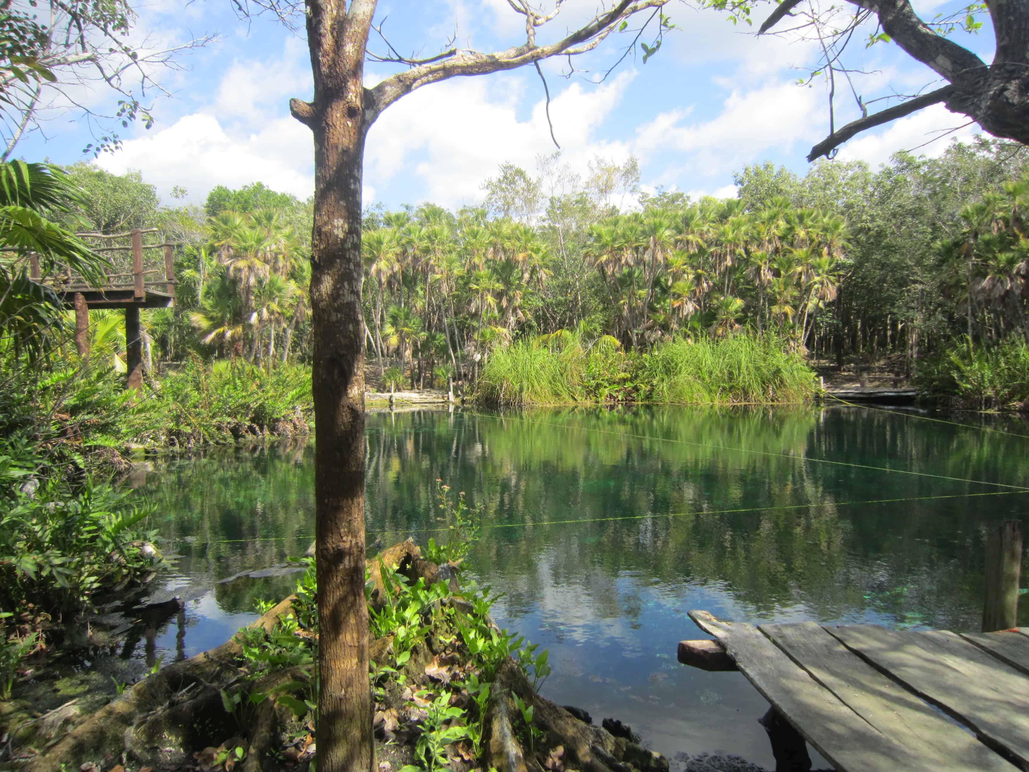 best cenotes in tulum cenote cristal