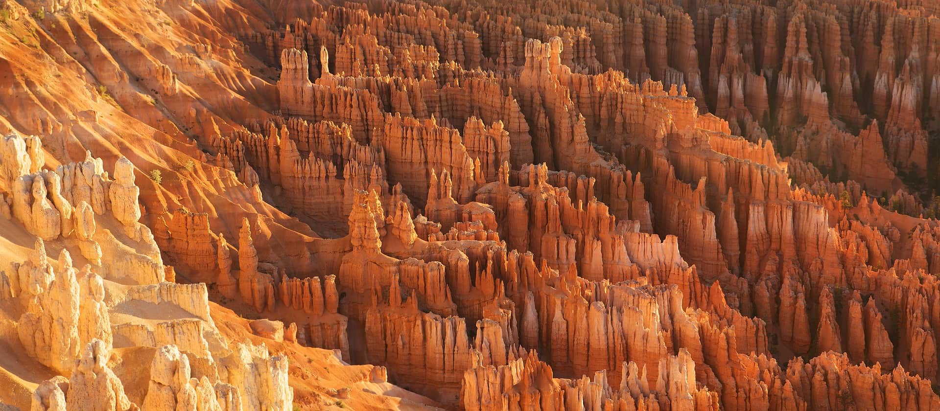 jagged rocks in Bryce canyon utah
